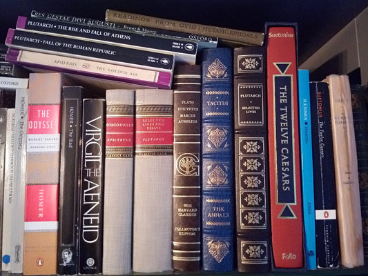 Classic books lined up on shelf with some stacked on top.