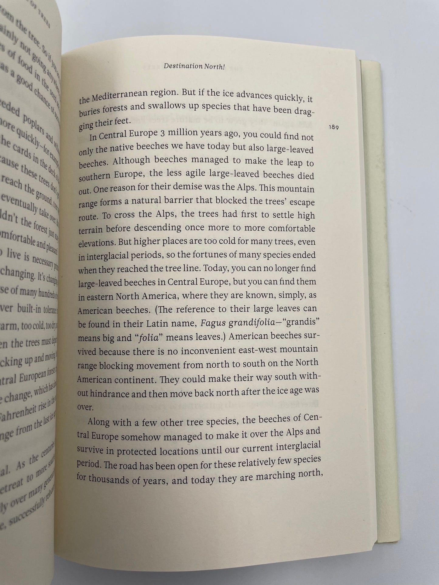 Random page 189 from the book 'The Hidden Life of Trees' by Peter Wohlleben.