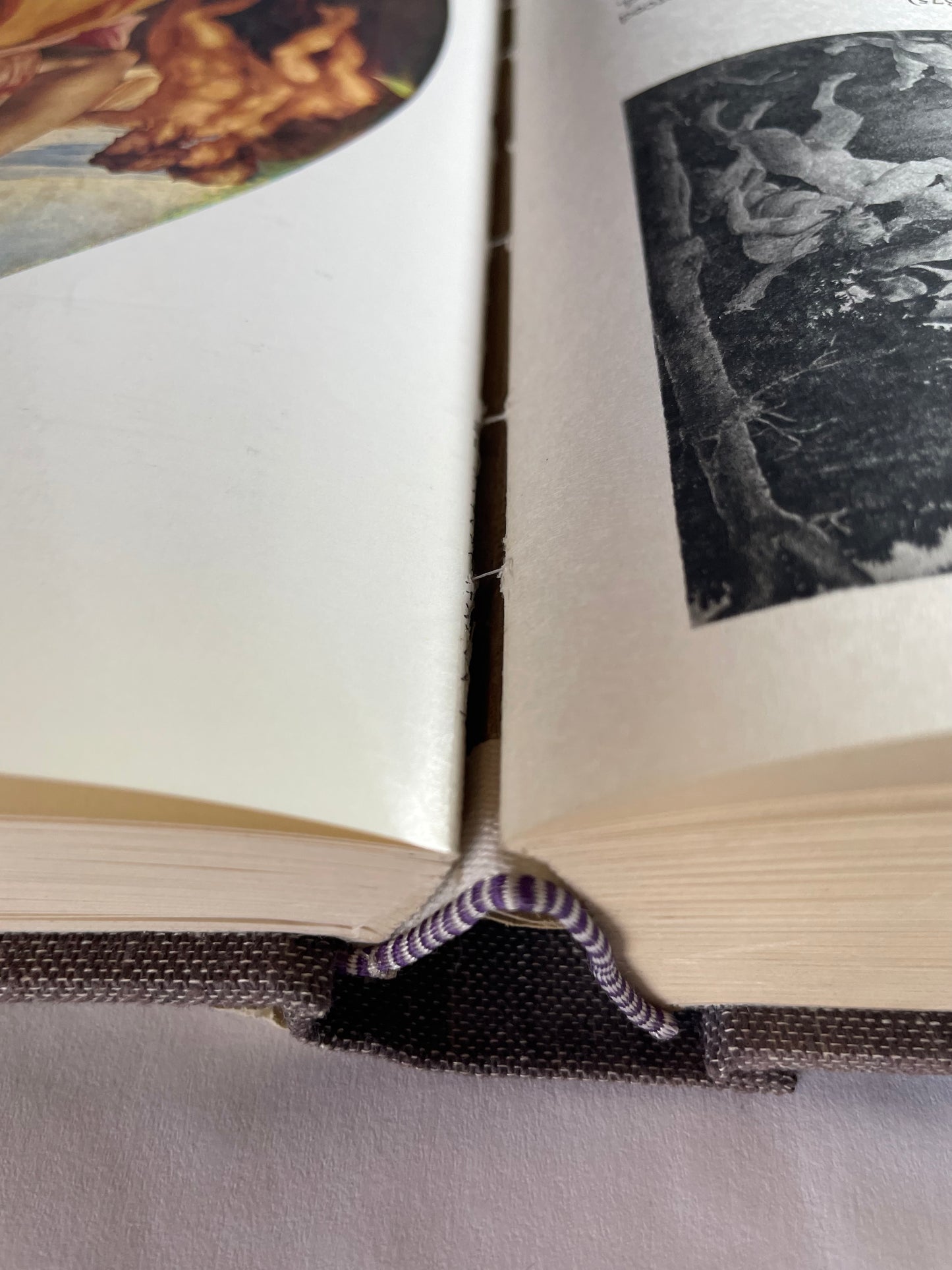 Binding detail from "History of Italian Rennaisance Art: Painting, Sculpture, Architecture"