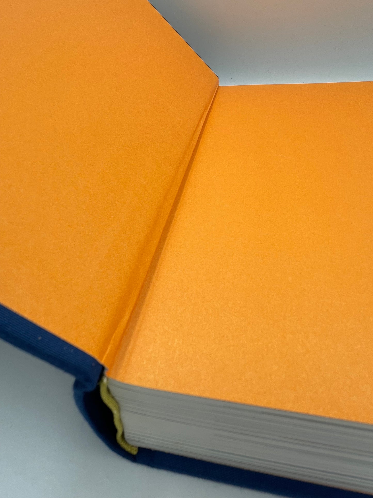 The Art of Florence (2 volume set)