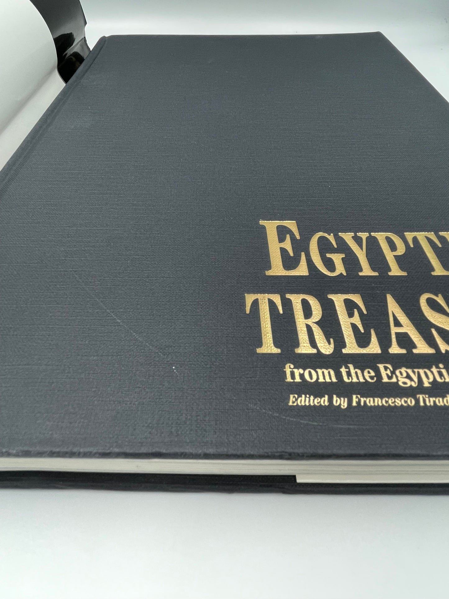 Egyptian Treasures from the Egyptian Museum in Cairo (Ed. F.Tiraditti)