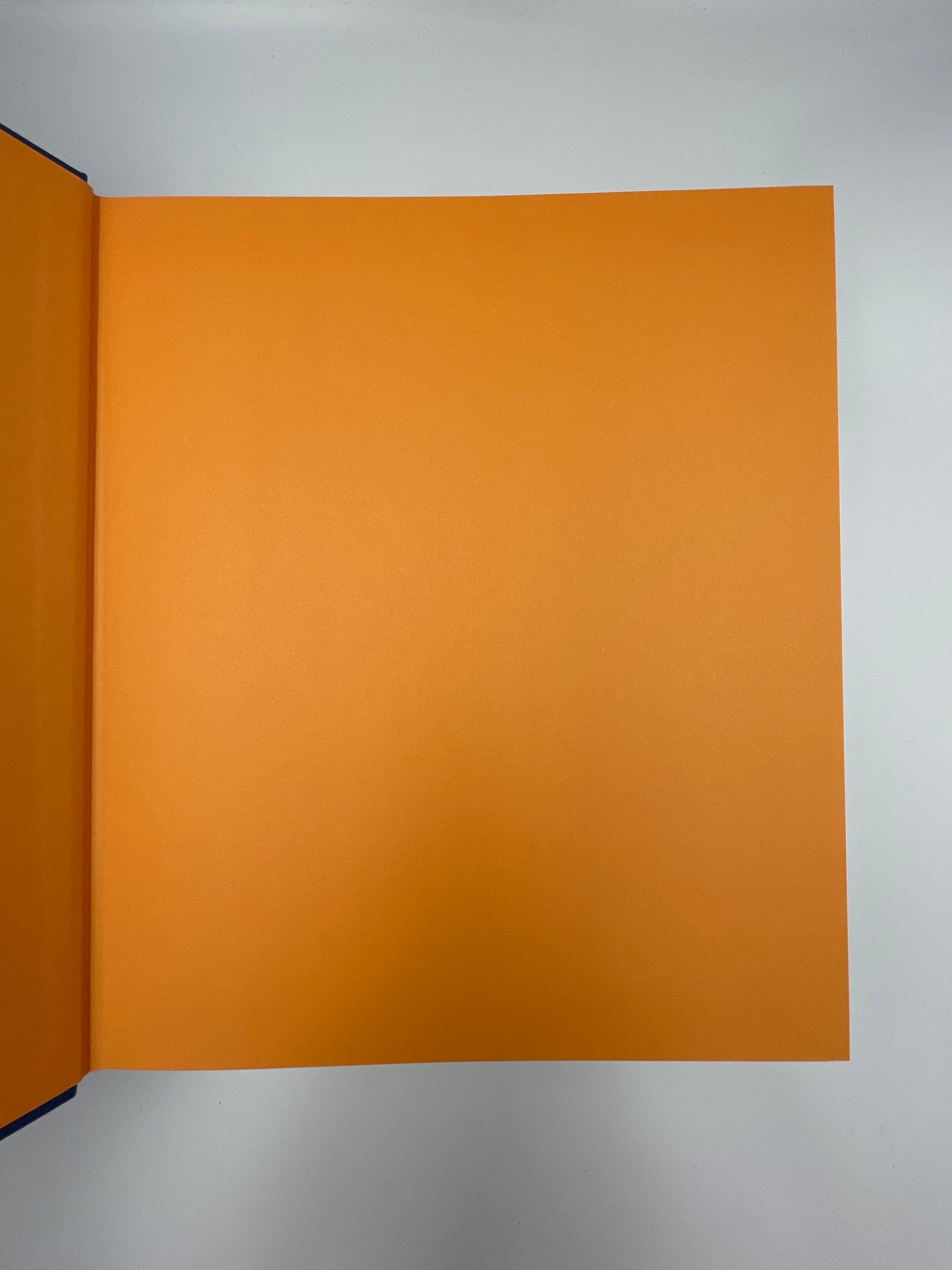 The Art of Florence (2 volume set)