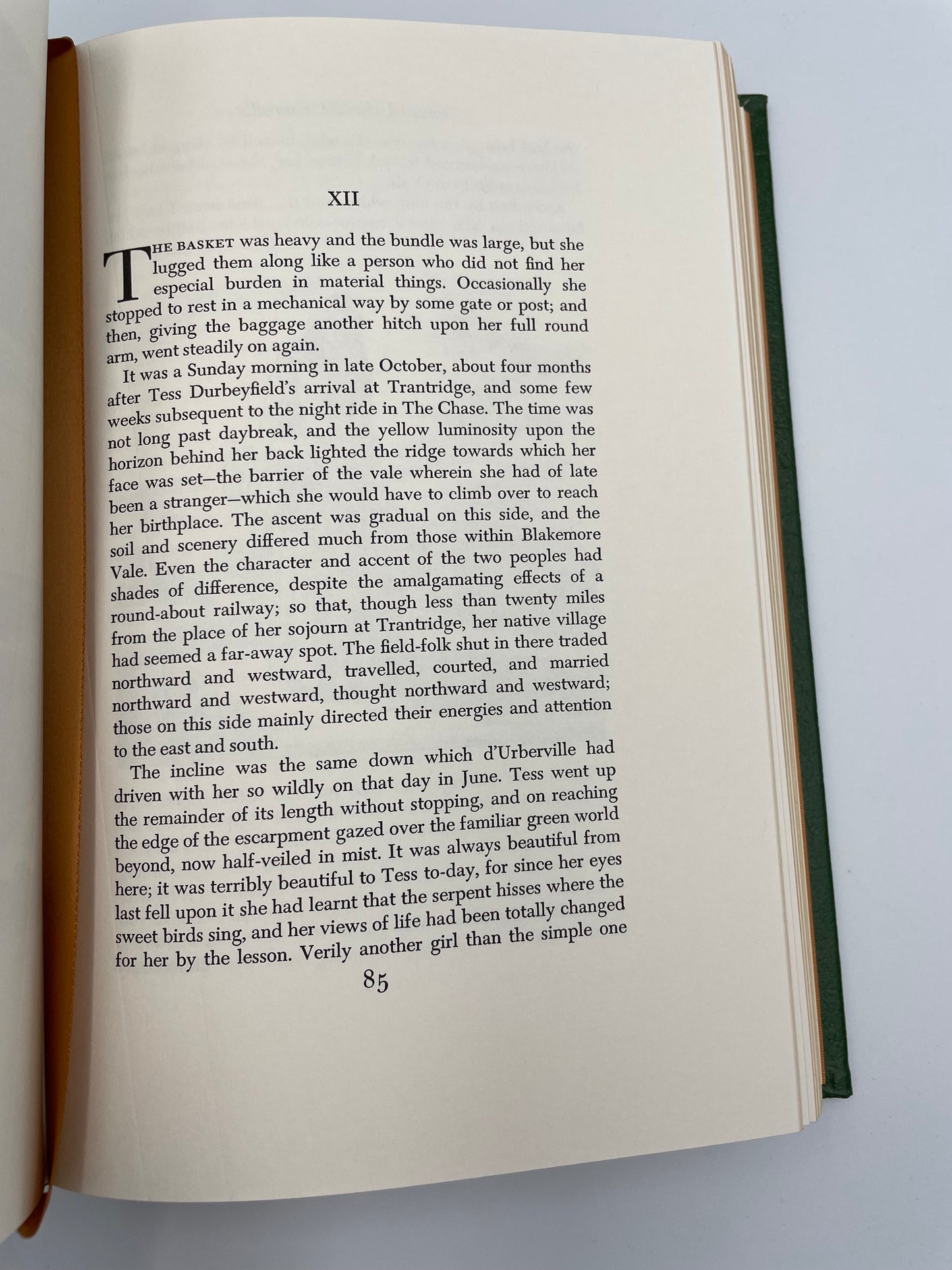 Tess of the d'Ubervilles by Thomas Hardy