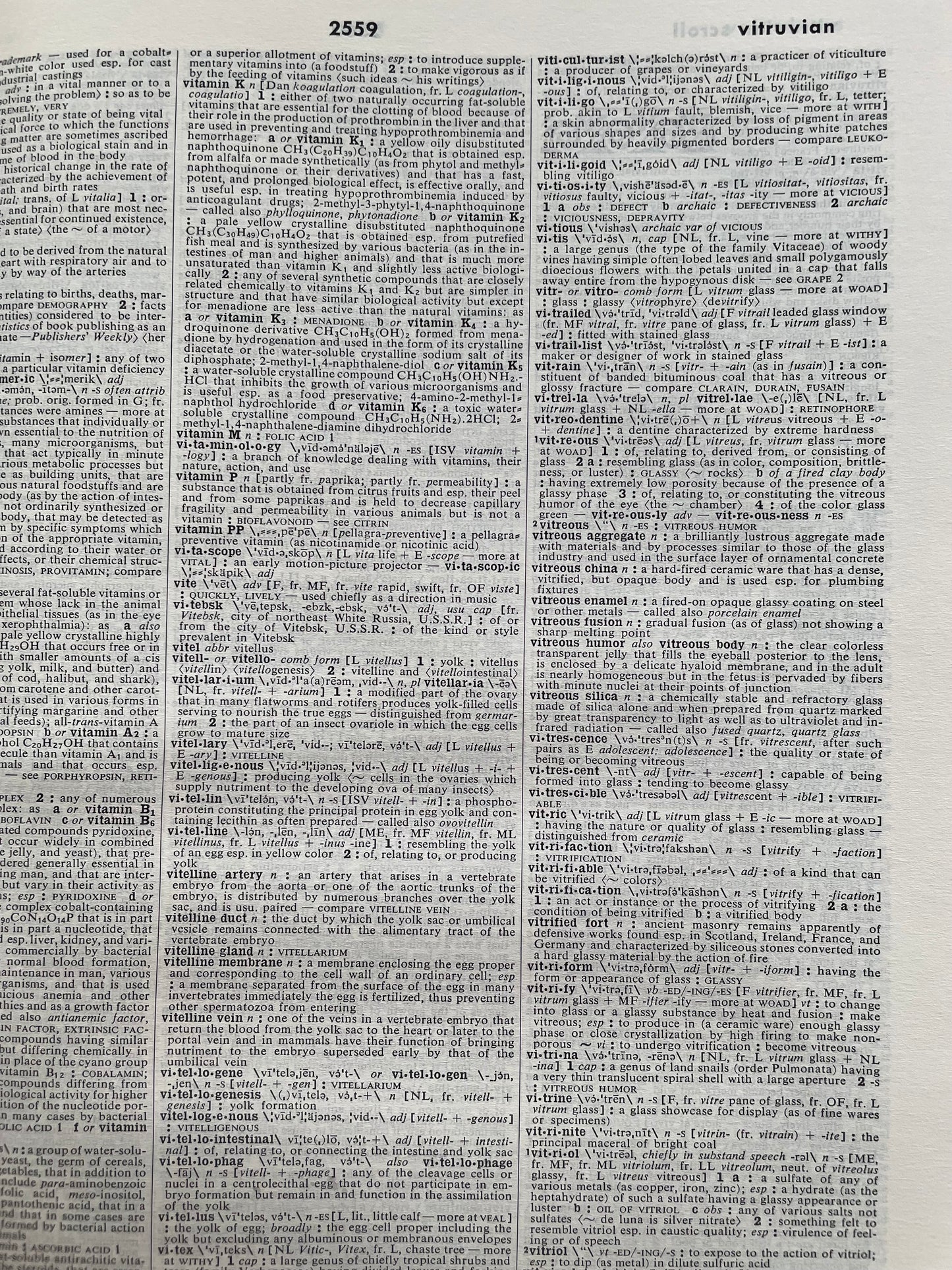 Webster’s Third New International Dictionary (1986, 3-Volume Set, Unabridged) + Britannica World Language Dictionary