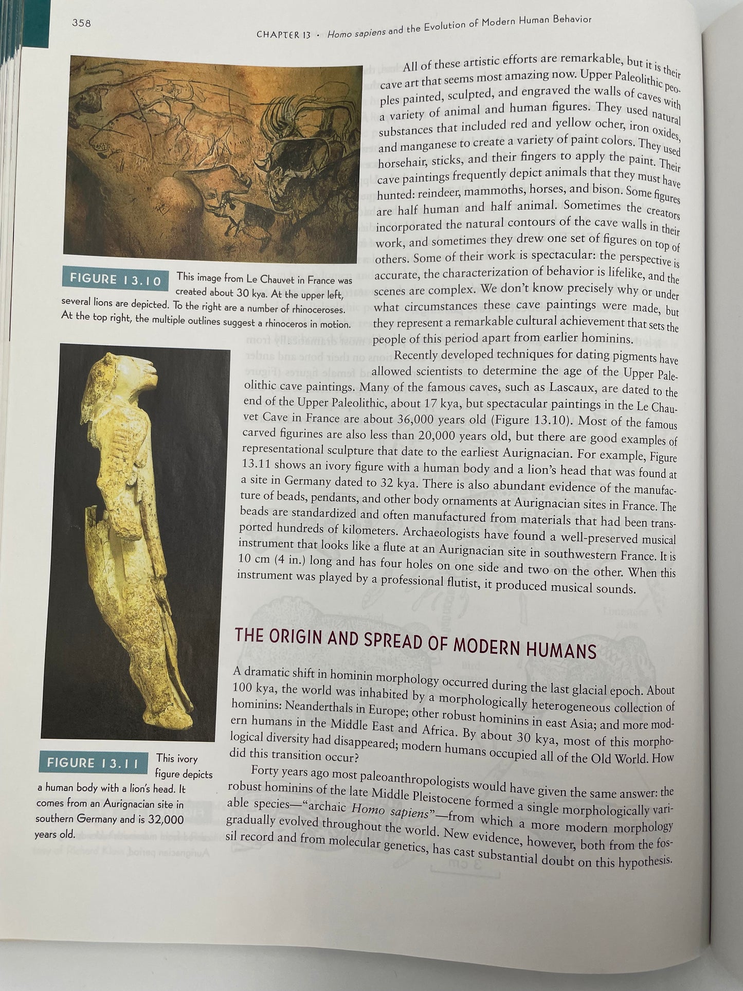 Page on the origin and spread of humans with images from ‘How Humans Evolved’ by Robert Boyd & Joan B. Silk.