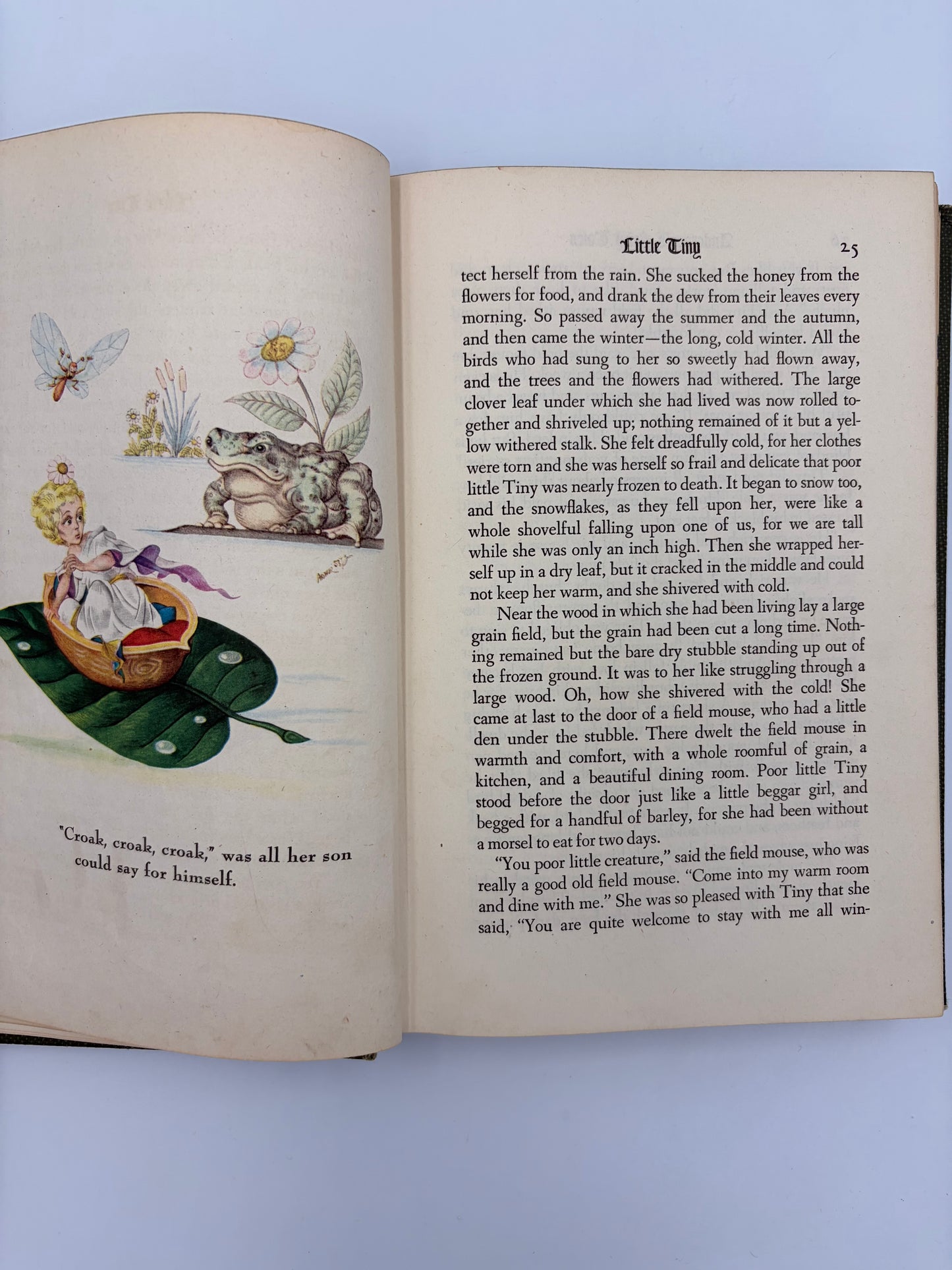 Illustration plus page 25 from the book ‘Andersen's Fairy Tales’ By Hans Christian Andersen.