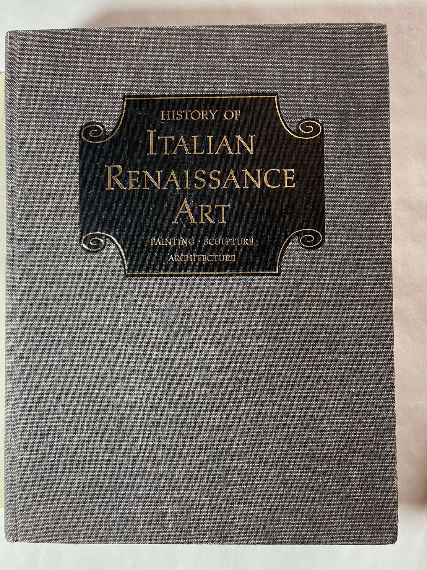 History of Italian Rennaisance Art: Painting, Sculpture, Architecture by Frederick Hart