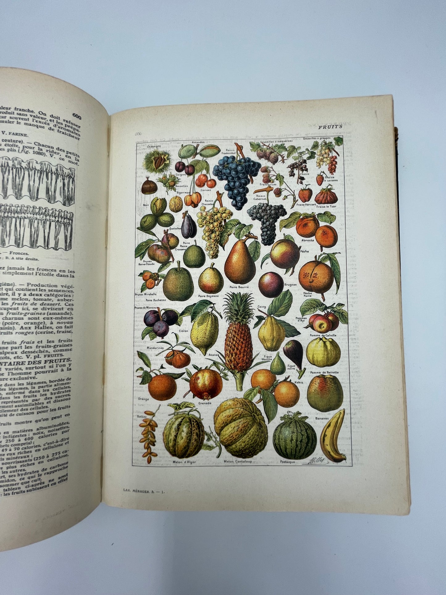 Larousse Ménager Illustré: Dictionnaire Illustré de la Vie Domestique (1926 Edition)