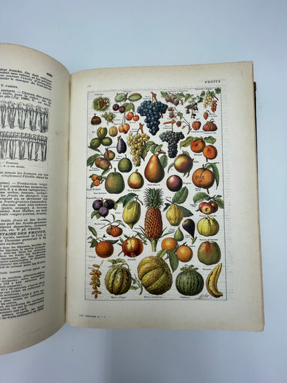 Larousse Ménager Illustré: Dictionnaire Illustré de la Vie Domestique (1926 Edition)