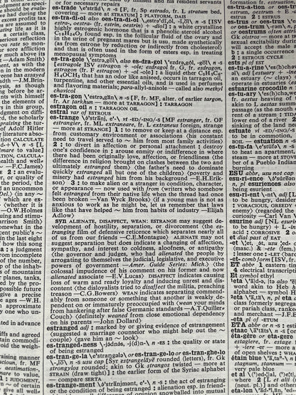 Webster’s Third New International Dictionary (1986, 3-Volume Set, Unabridged) + Britannica World Language Dictionary