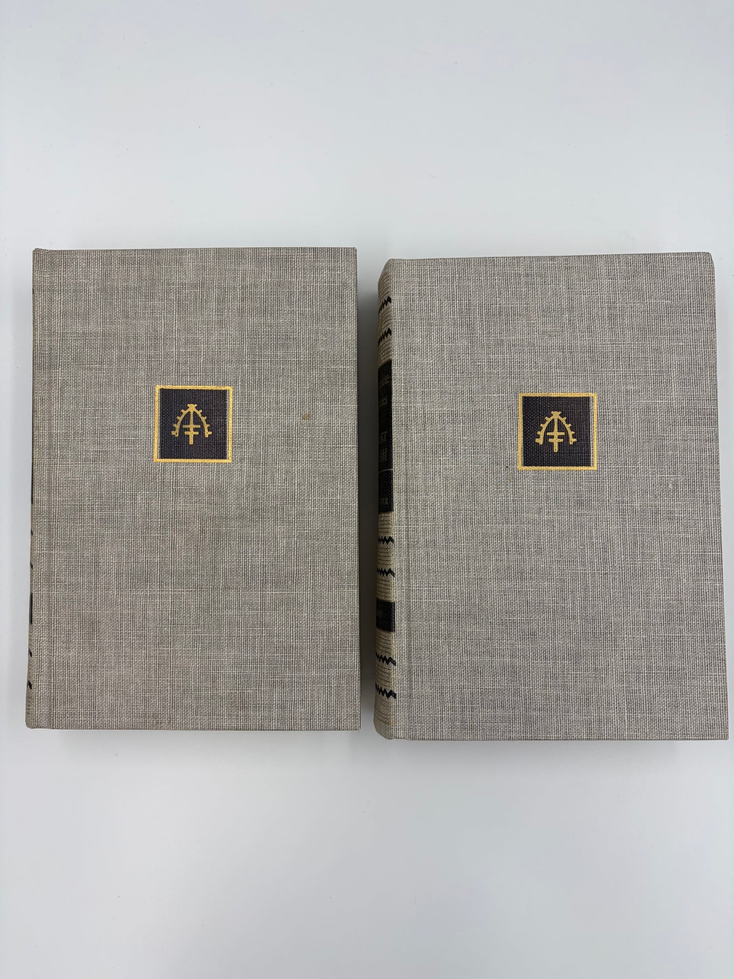 Two gray cloth bound books with gold embossed vignettes on a white background.