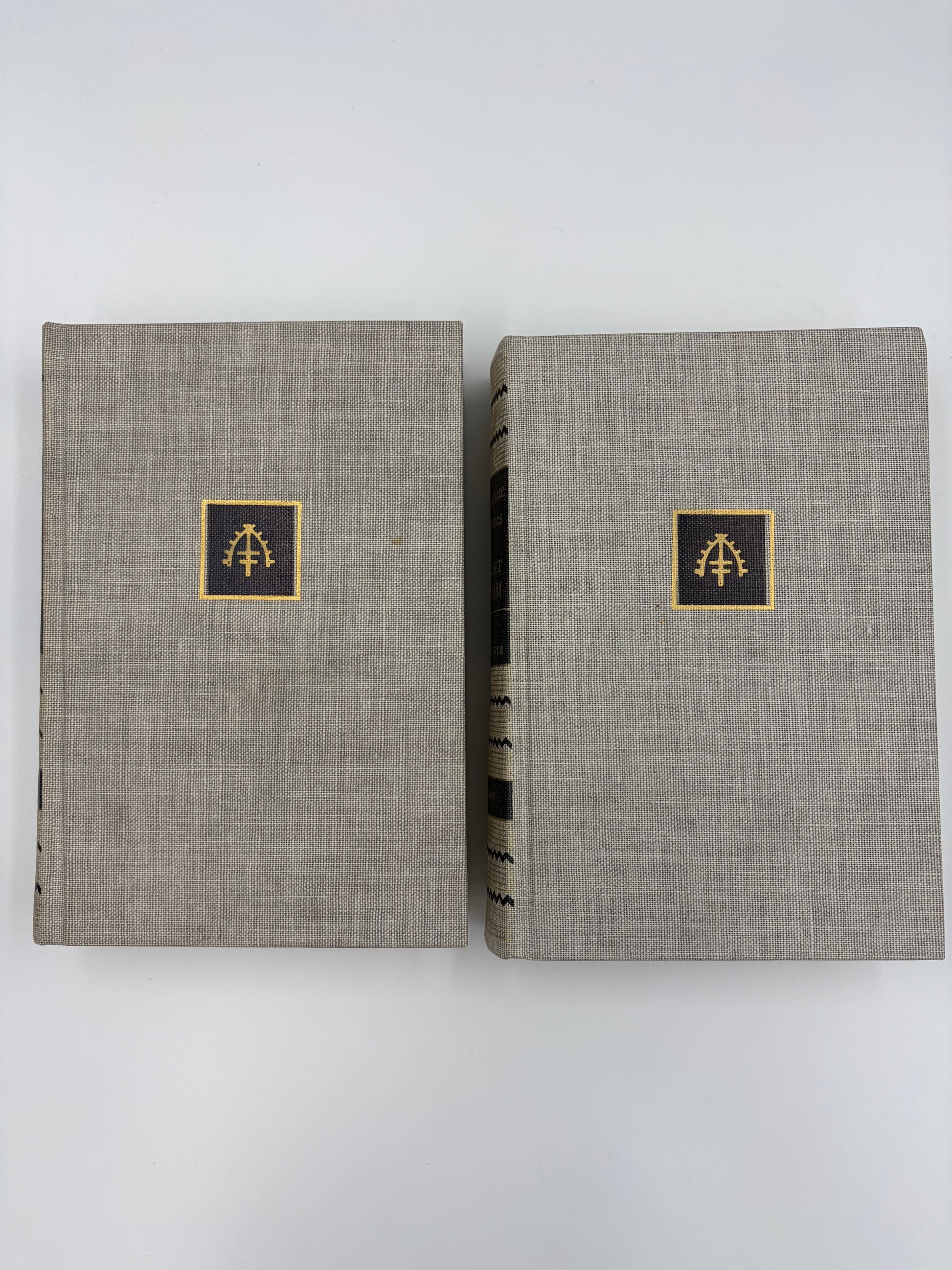 Two gray cloth bound books with gold embossed vignettes on a white background.