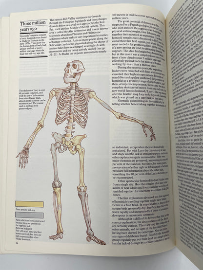 Page with an illustration of the famous Lucy skeleton from the book, ‘Ascent to Civilization’ by John Gowlett.