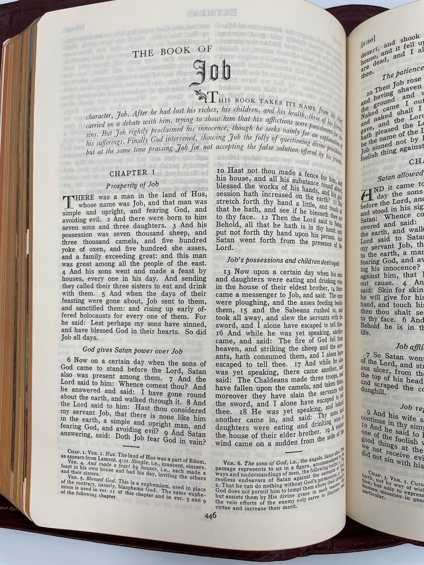 Page from the book of Job from 'The Marian Bible'.