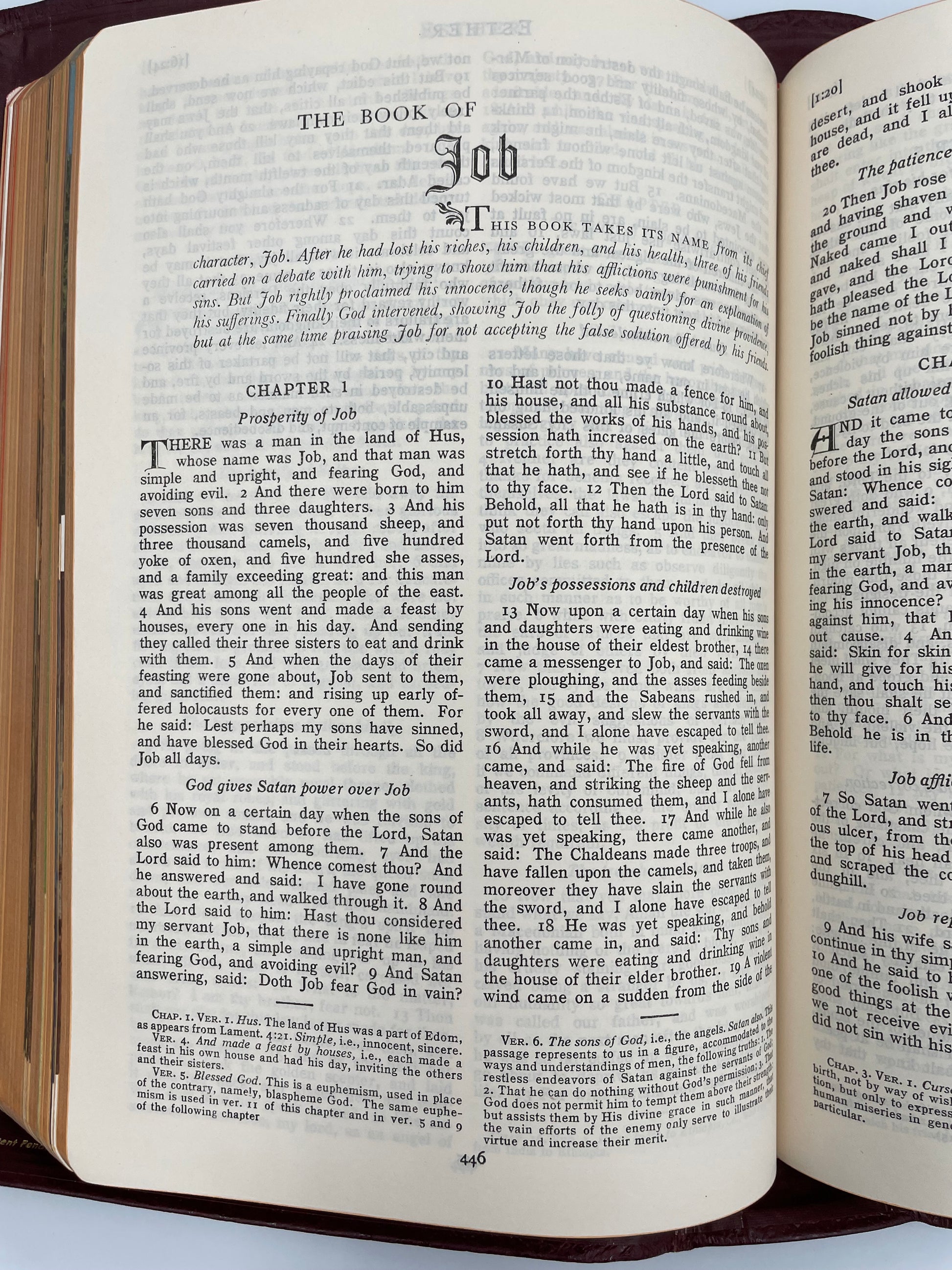 Page from the book of Job from 'The Marian Bible'.