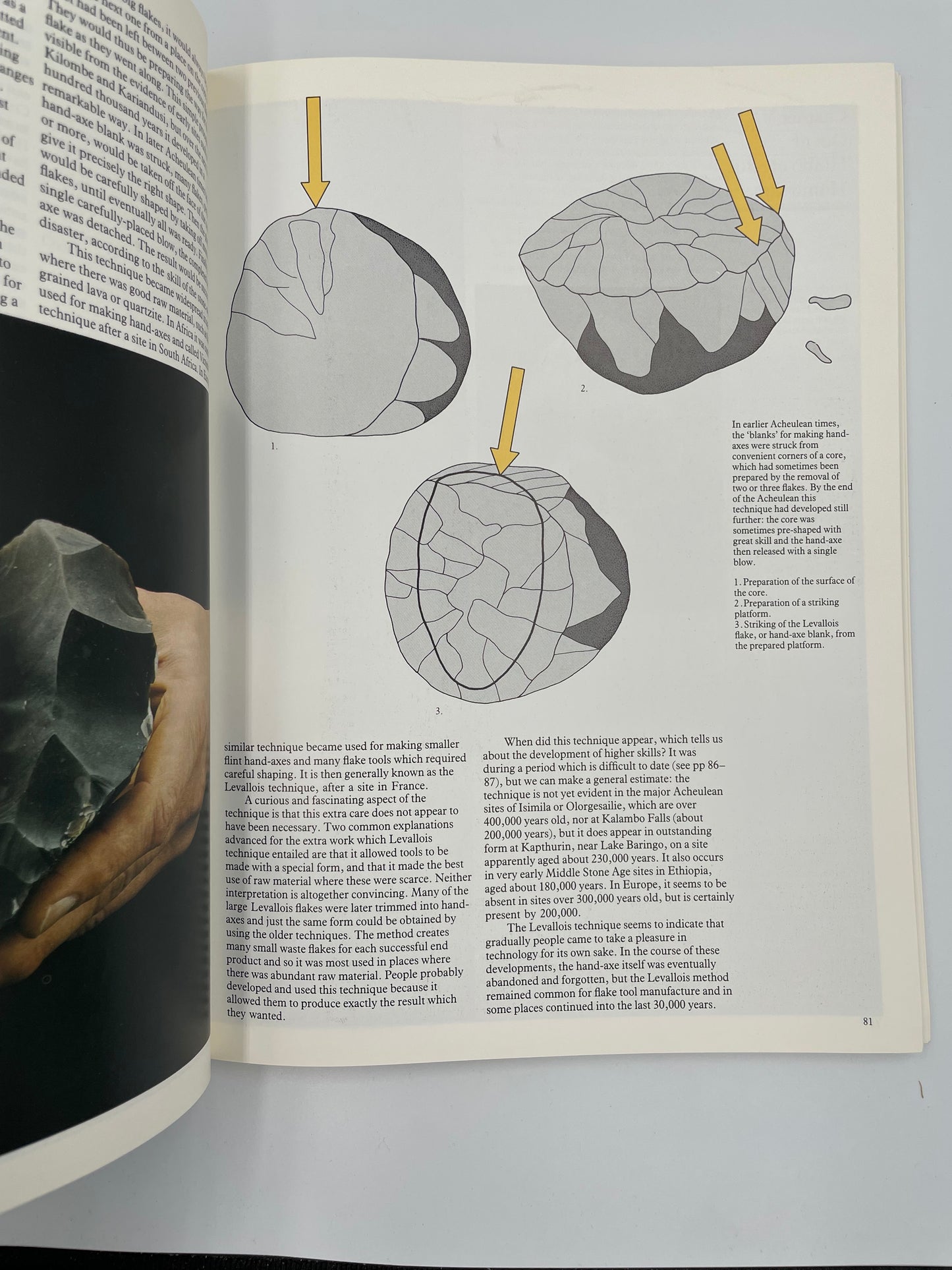 Page with illustrations of stone tools from, ‘Ascent to Civilization’ by John Gowlett.