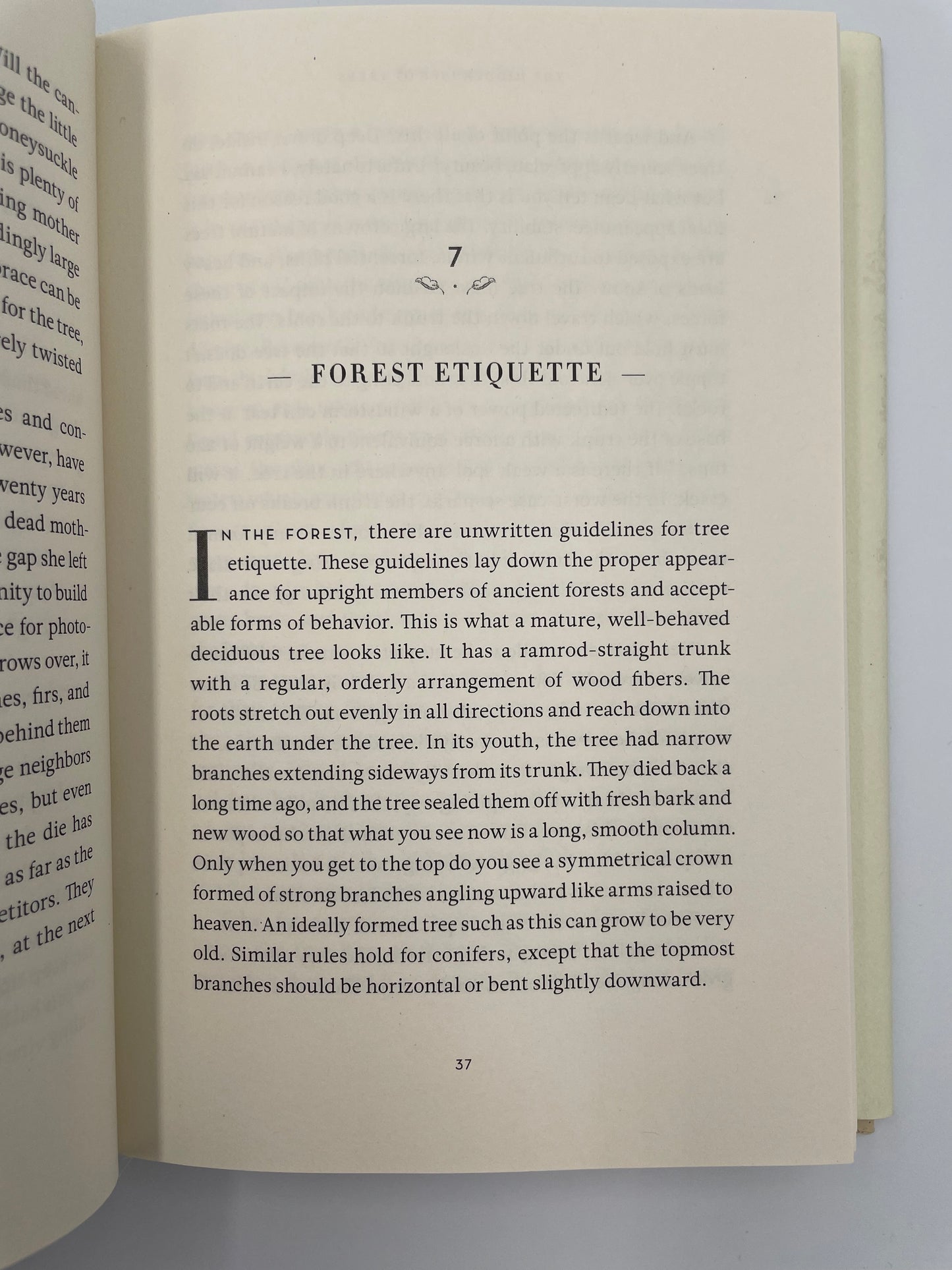 Chapter  page from 'The Hidden Life of Trees' by Peter Wohlleben.