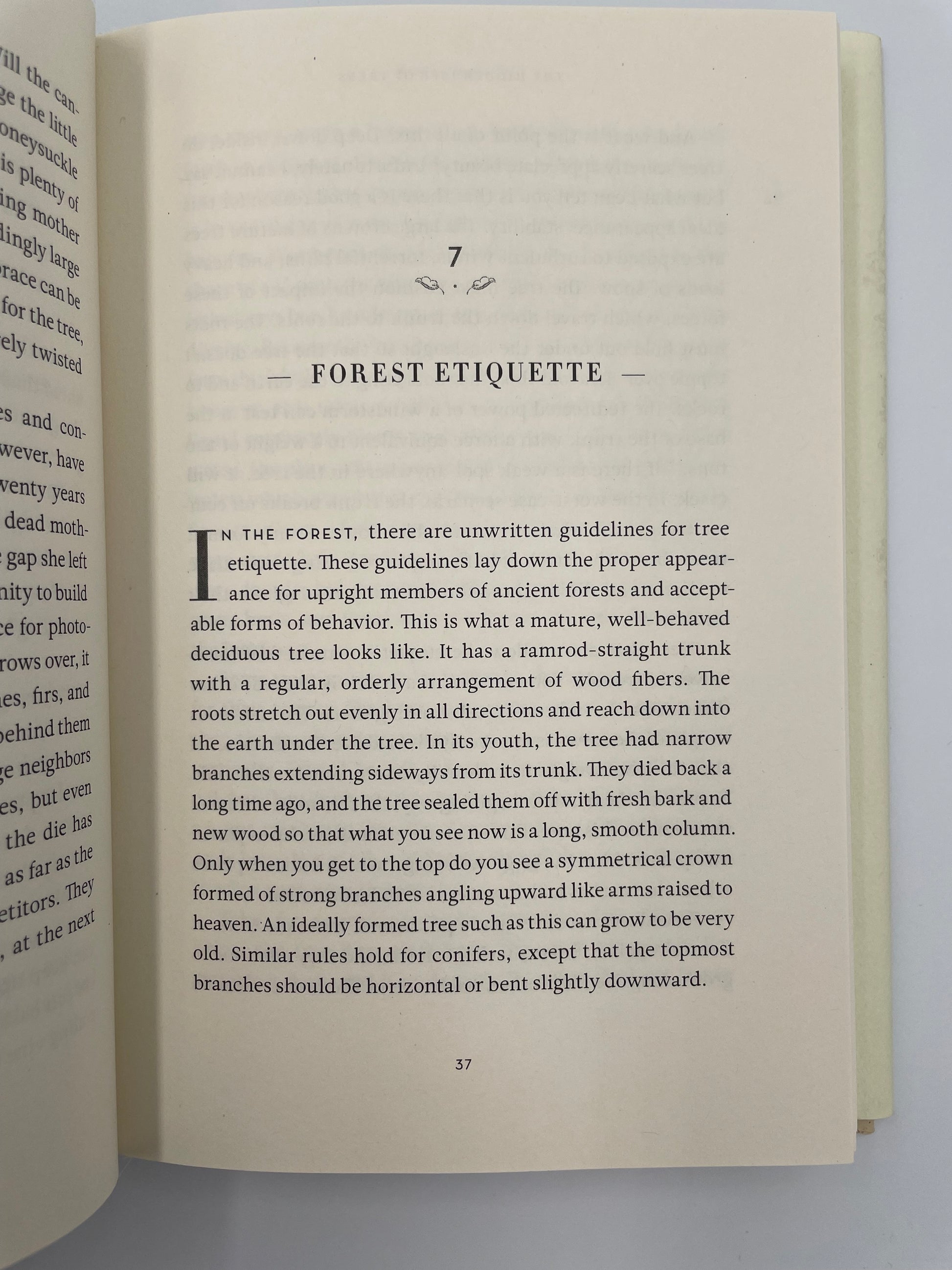 Chapter  page from 'The Hidden Life of Trees' by Peter Wohlleben.