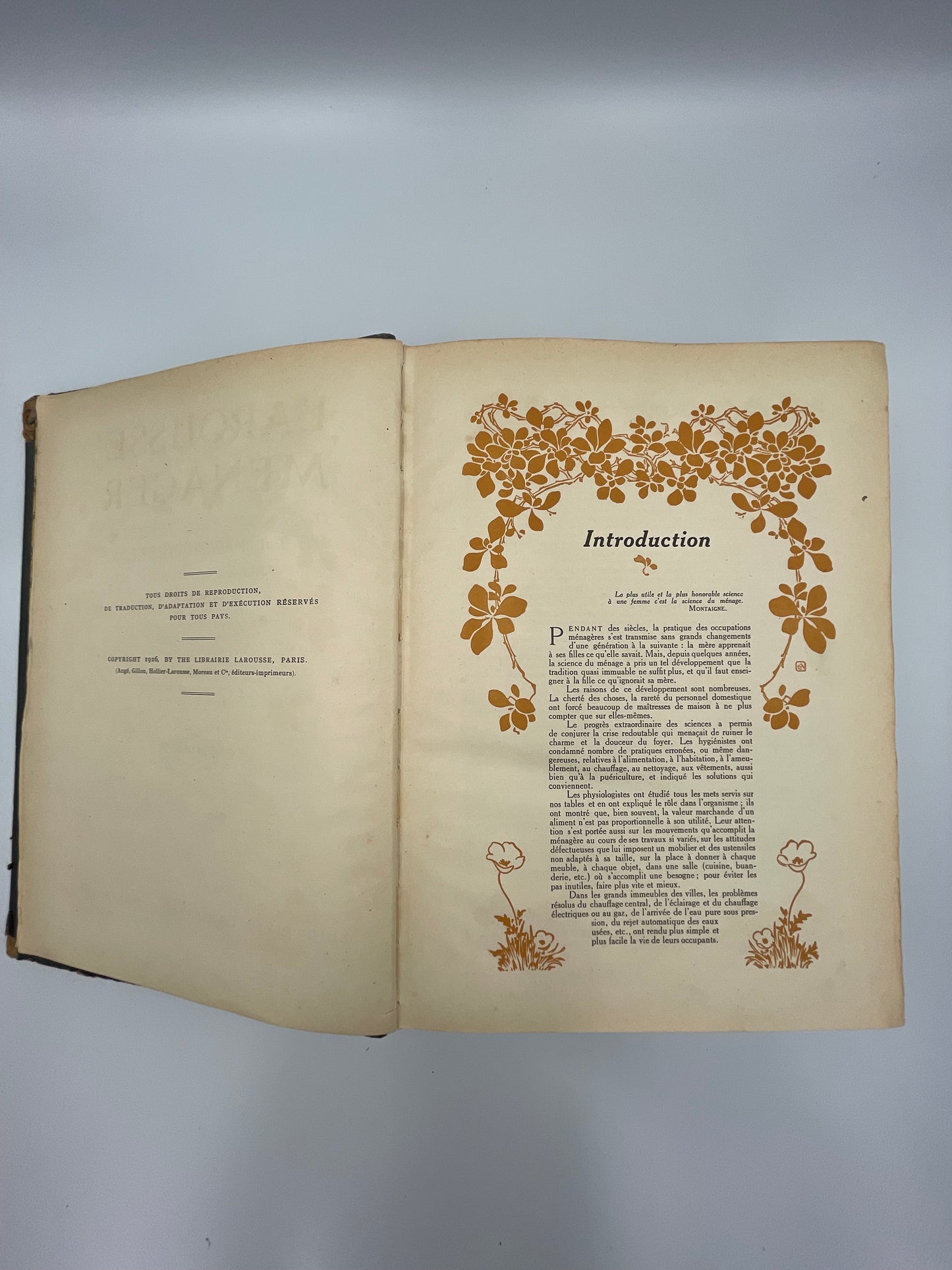 Larousse Ménager Illustré: Dictionnaire Illustré de la Vie Domestique (1926 Edition)