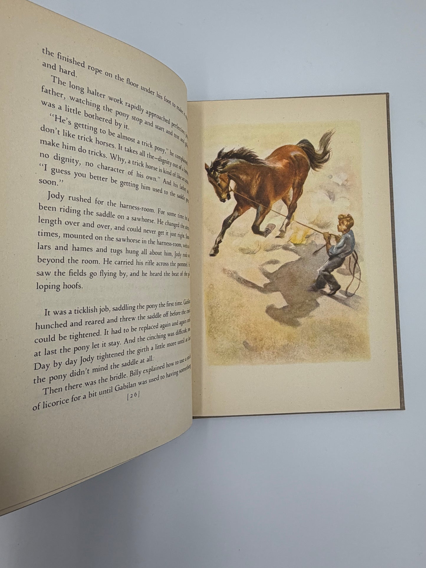 Open pages with text on one page and  an illustration of a boy training a horse from the book, 'The Red Pony' by John Steinbeck.   