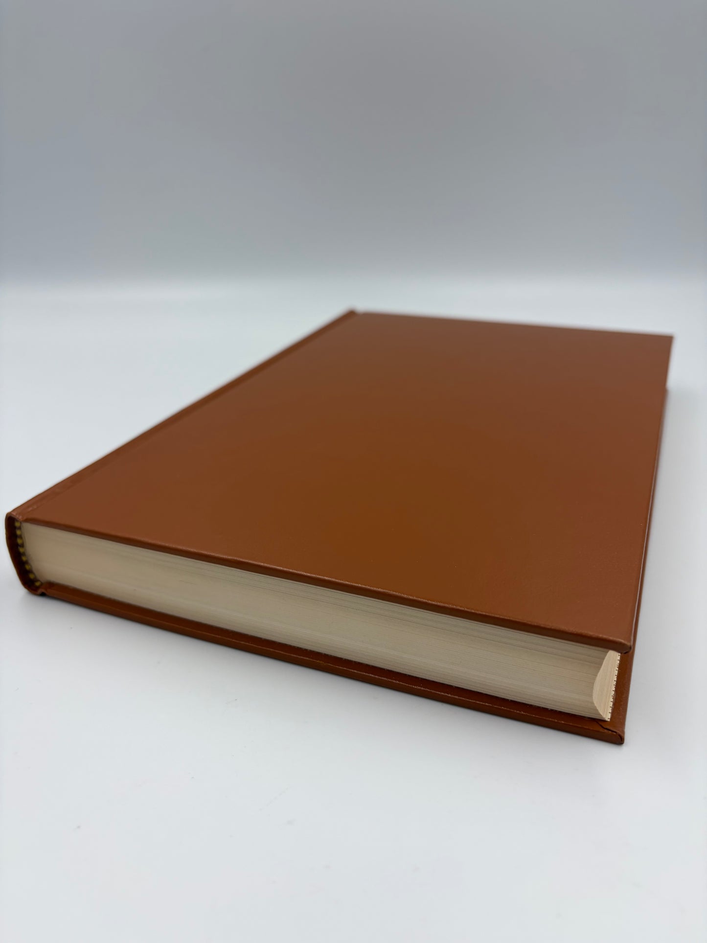 Book and page edge view of 'The History of Herodotus and The History of the Peloponnesian War'. 