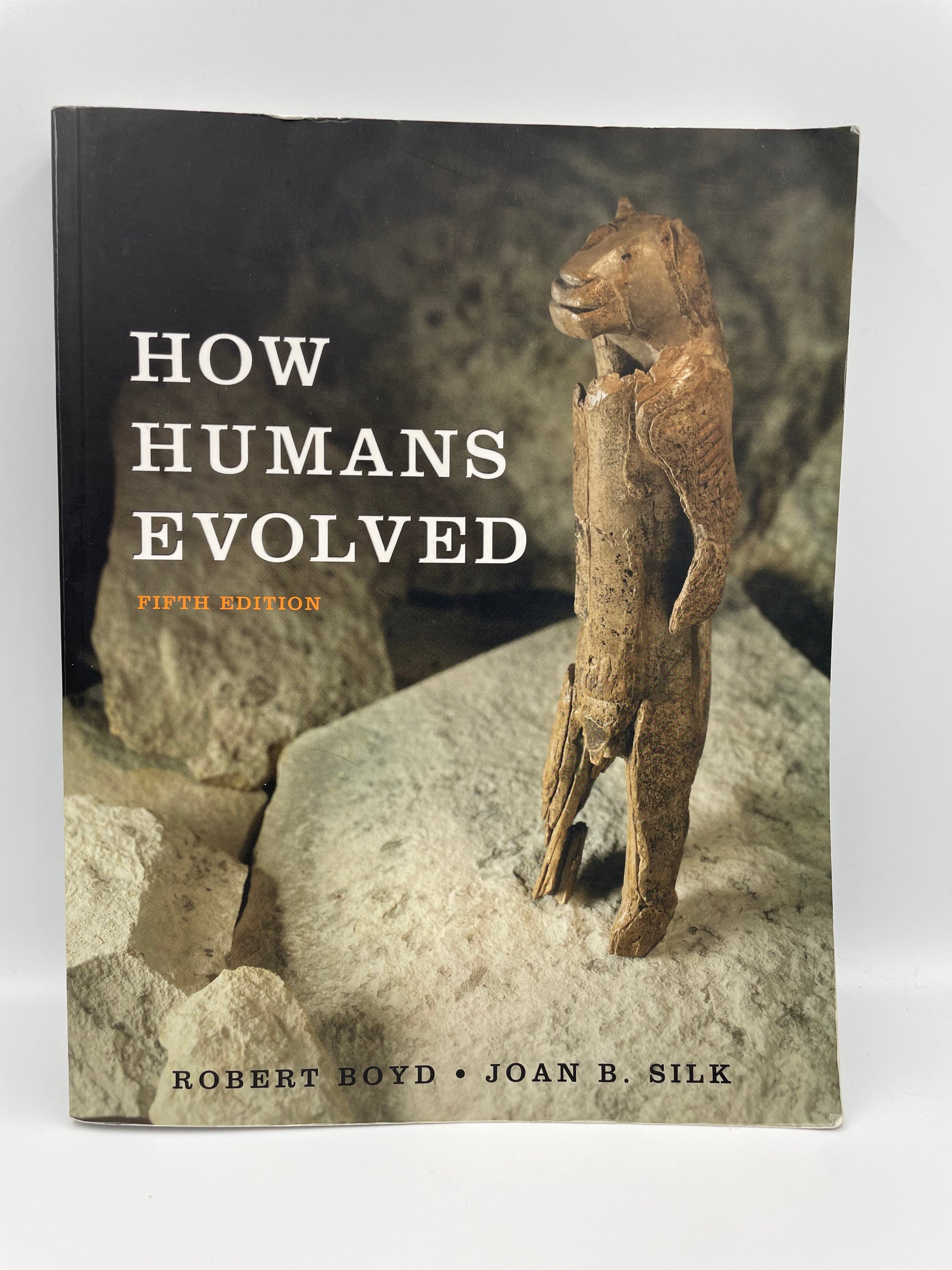 Book cover of 'How Humans Evolved' with a stone-age scene on a white background.