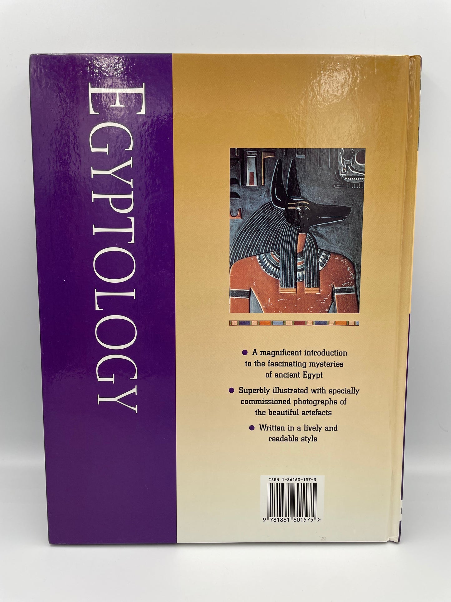 Back book cover of 'Egyptology' with a purple and gold cover on a white background