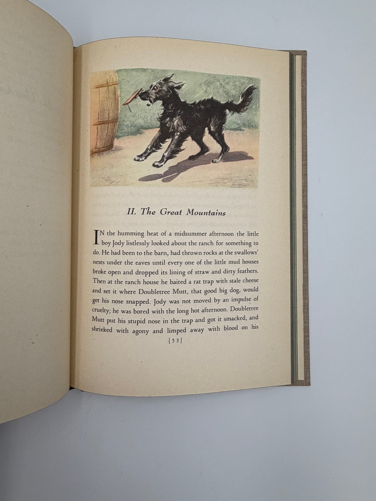 Chapter 2 page with illustration of a dog from the book, 'The Red Pony' by John Steinbeck. 