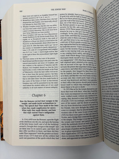 Page 900 from the book, 'The New Complete Works of Josephus'.