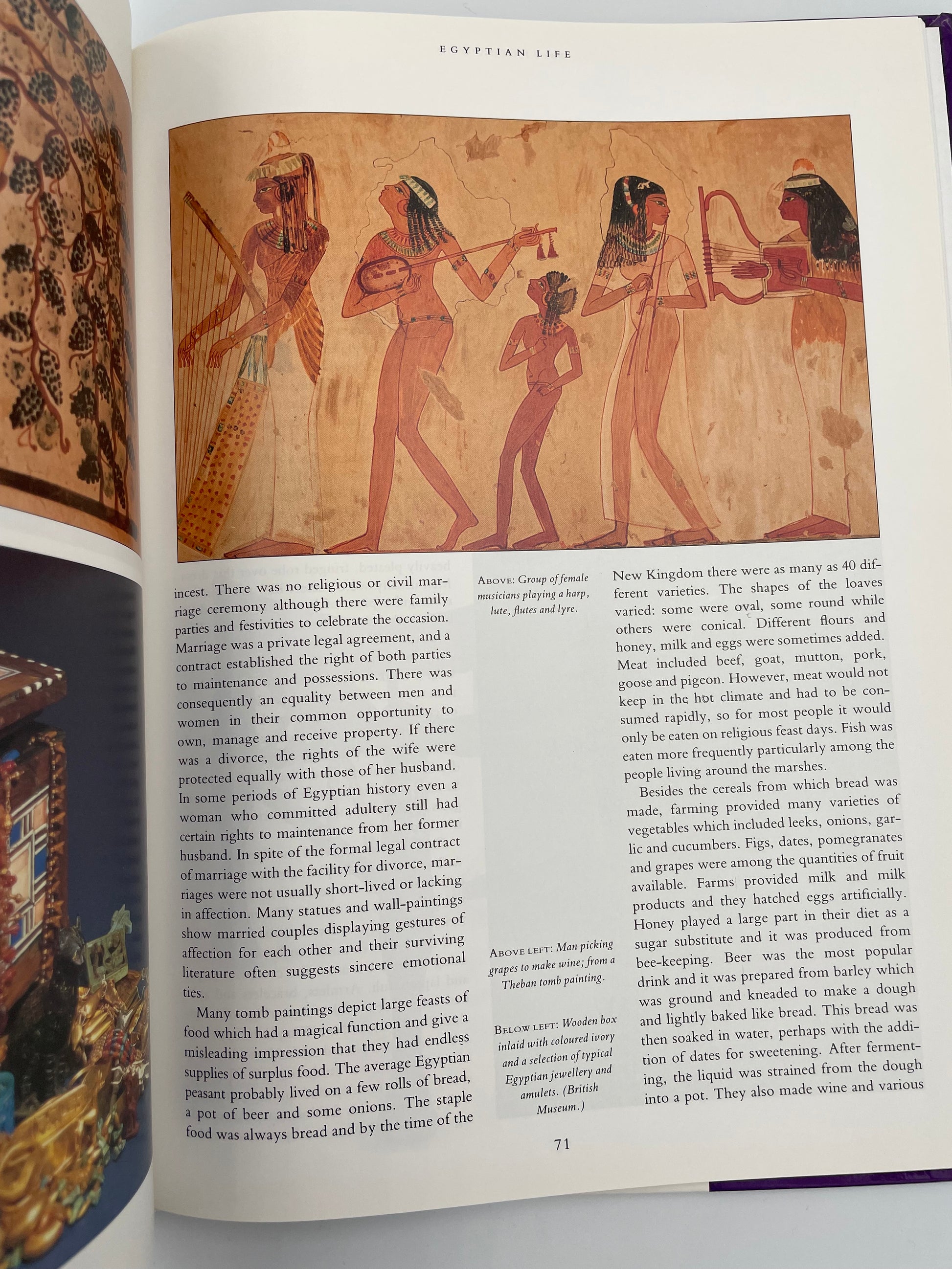 Open book with ancient Egyptian hieroglyphics on the left and text on the right from ‘Egyptology: An Introduction to the History, Culture, and Art of Ancient Egypt’ by James Putnam.