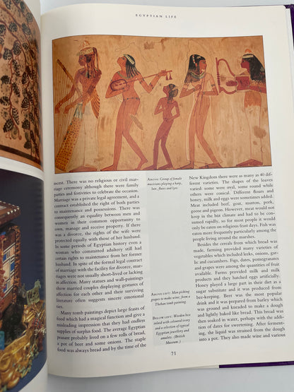 Open book with ancient Egyptian hieroglyphics on the left and text on the right from ‘Egyptology: An Introduction to the History, Culture, and Art of Ancient Egypt’ by James Putnam.