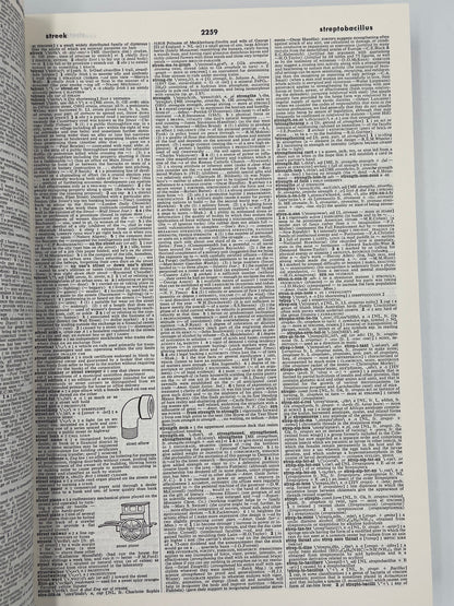 Webster’s Third New International Dictionary (1986, 3-Volume Set, Unabridged) + Britannica World Language Dictionary