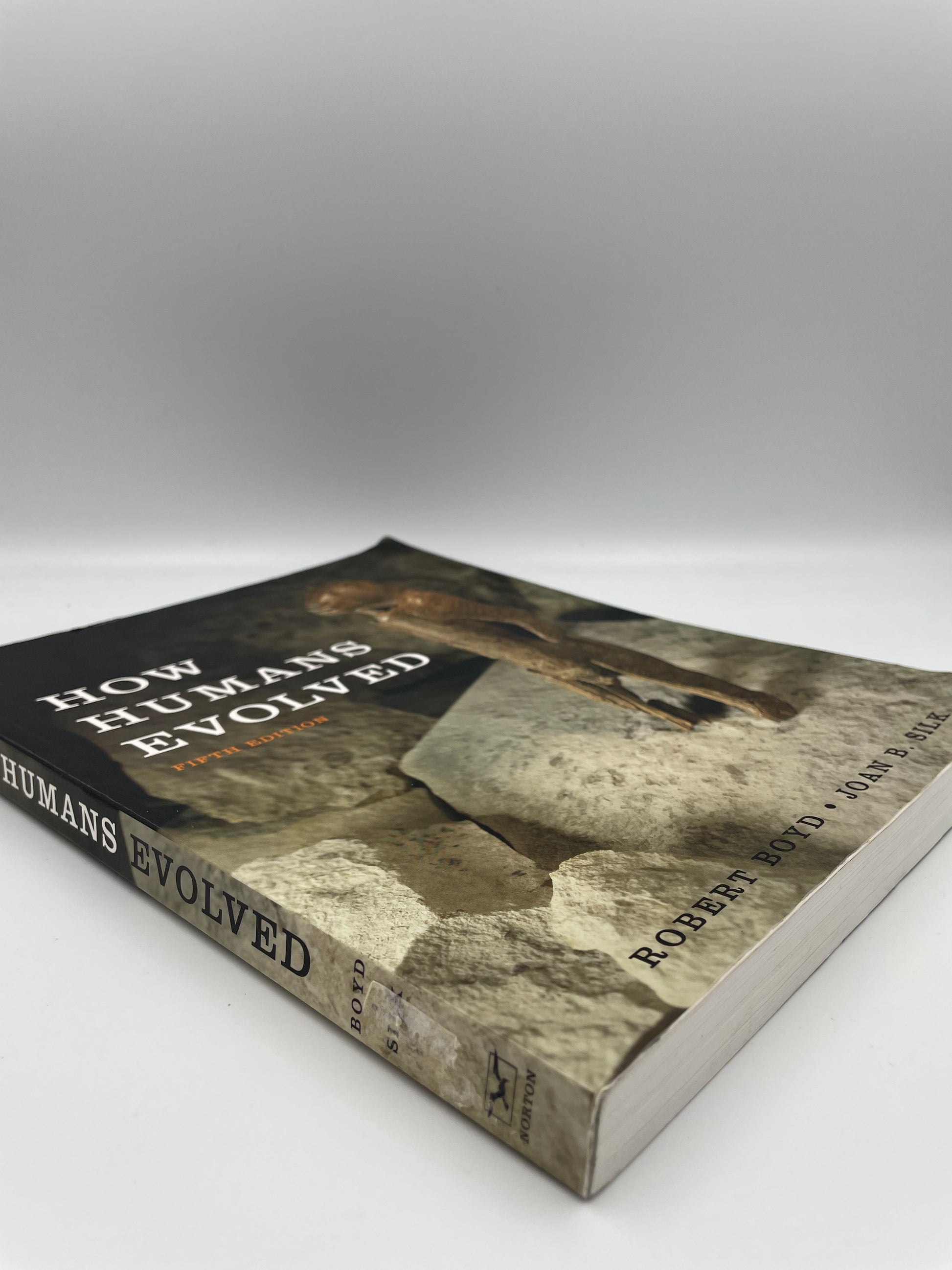 Side view of book, ‘How Humans Evolved’ by Robert Boyd & Joan B. Silk.