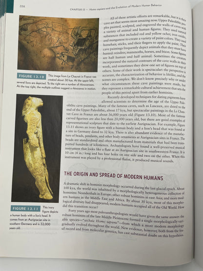 Page on the origin and spread of humans with images from ‘How Humans Evolved’ by Robert Boyd & Joan B. Silk.