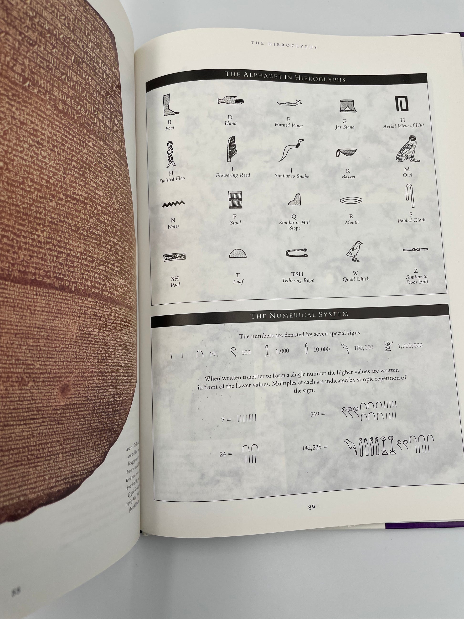 Open page book with image of Rosetta Stone on the left and hieroglyphics on the right from ‘Egyptology: An Introduction to the History, Culture, and Art of Ancient Egypt’ by James Putnam.