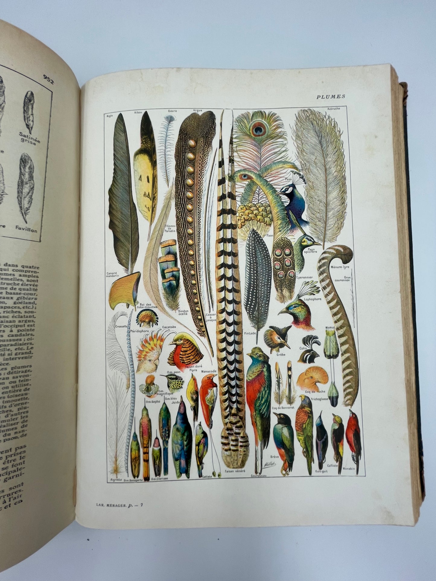 Larousse Ménager Illustré: Dictionnaire Illustré de la Vie Domestique (1926 Edition)