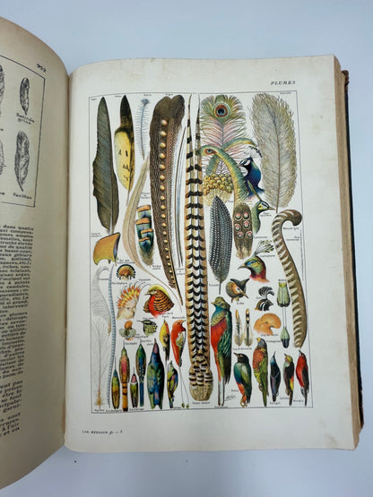 Larousse Ménager Illustré: Dictionnaire Illustré de la Vie Domestique (1926 Edition)