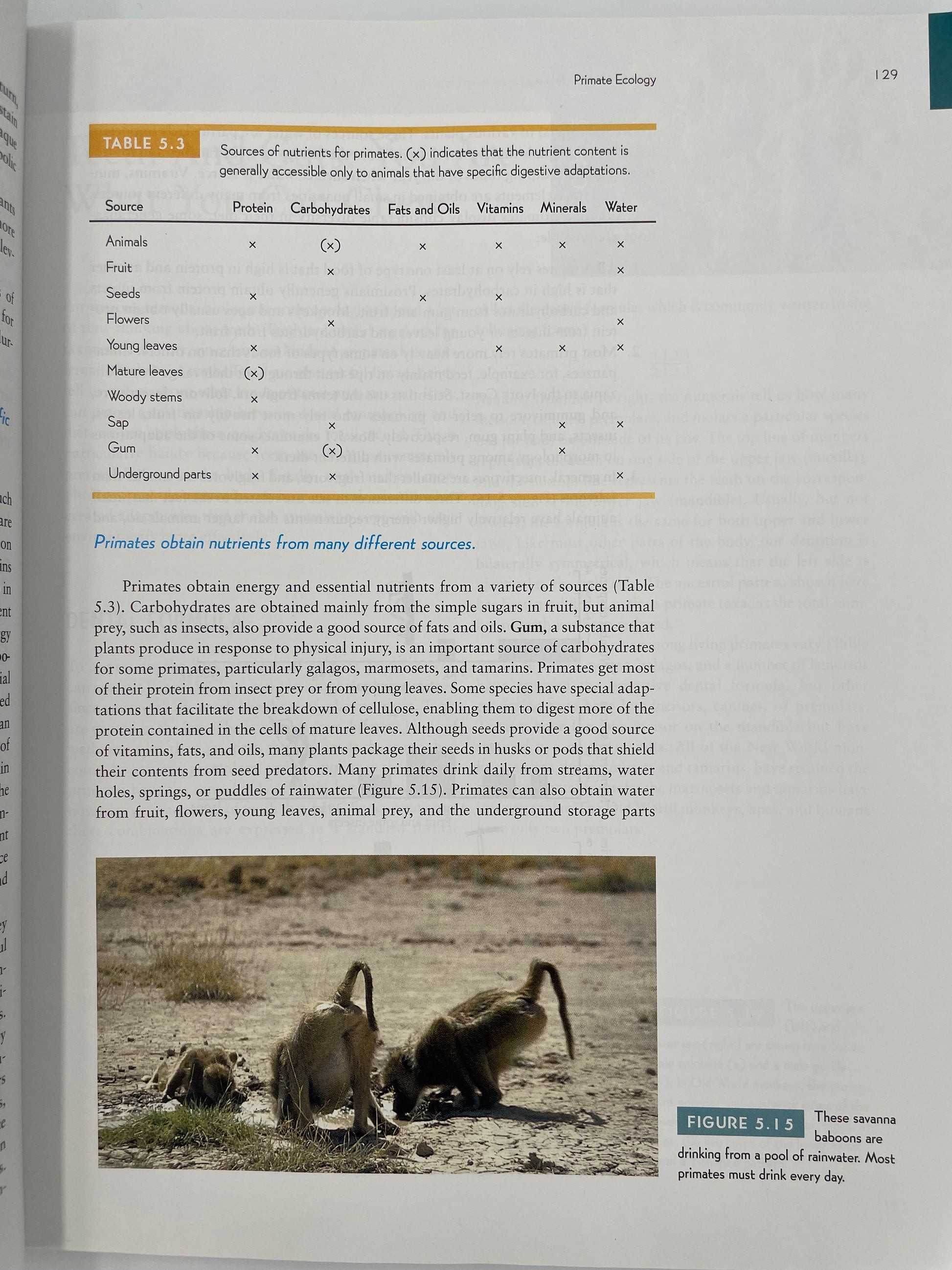 Page on primate ecology with photo of savanna baboons and text from, ‘How Humans Evolved’ by Robert Boyd & Joan B. Silk.