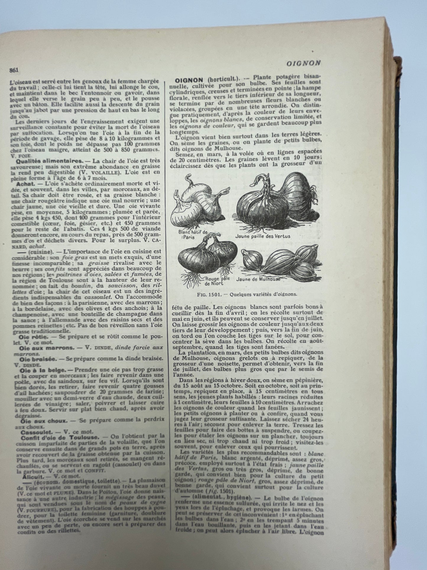 Larousse Ménager Illustré: Dictionnaire Illustré de la Vie Domestique (1926 Edition)