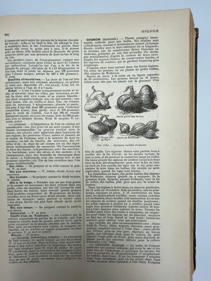 Larousse Ménager Illustré: Dictionnaire Illustré de la Vie Domestique (1926 Edition)
