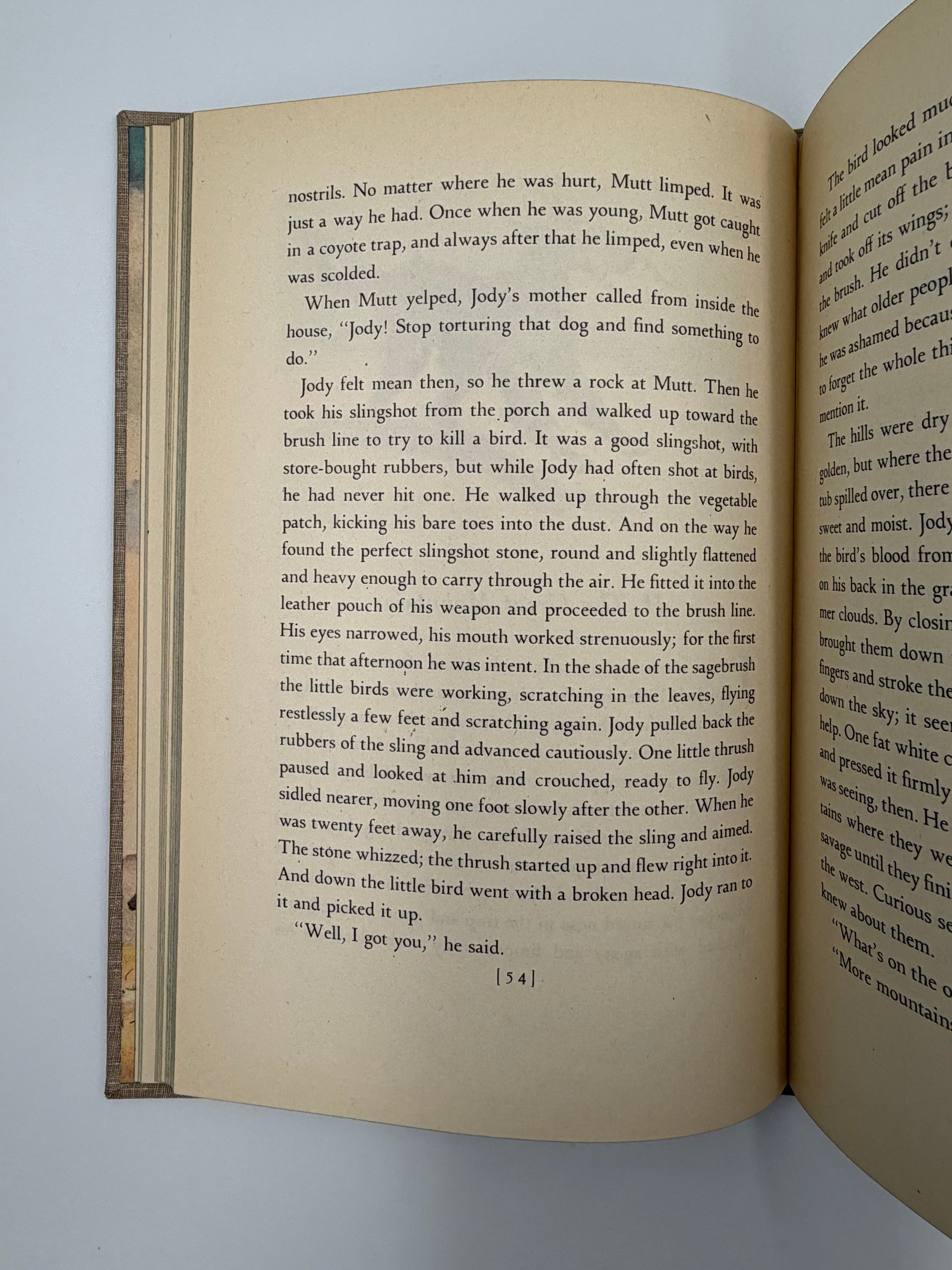 Random page 24 from the book, 'The Red Pony' by John Steinbeck. 