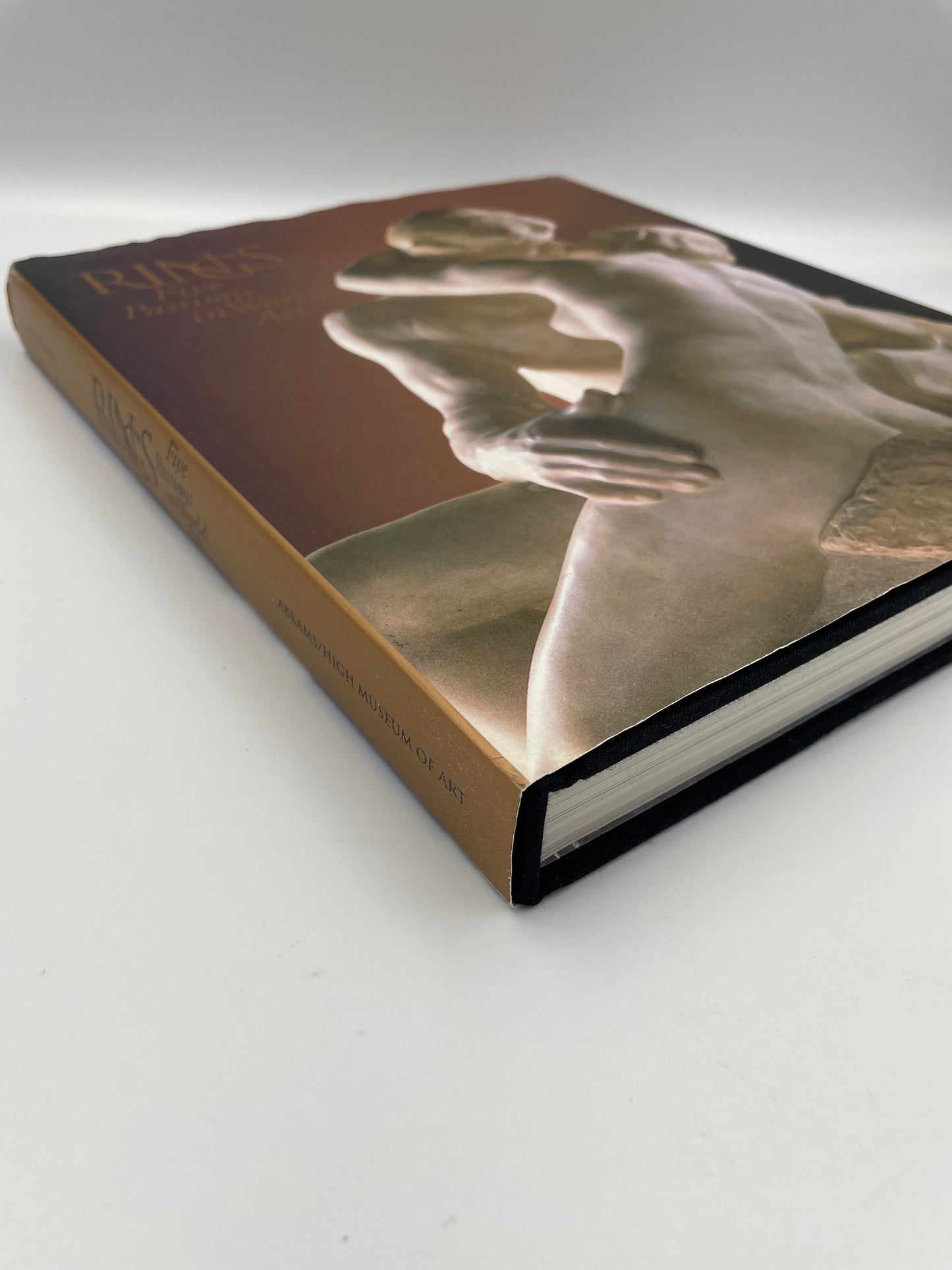 Book cover with spine of Rings: Five Passions in World Art