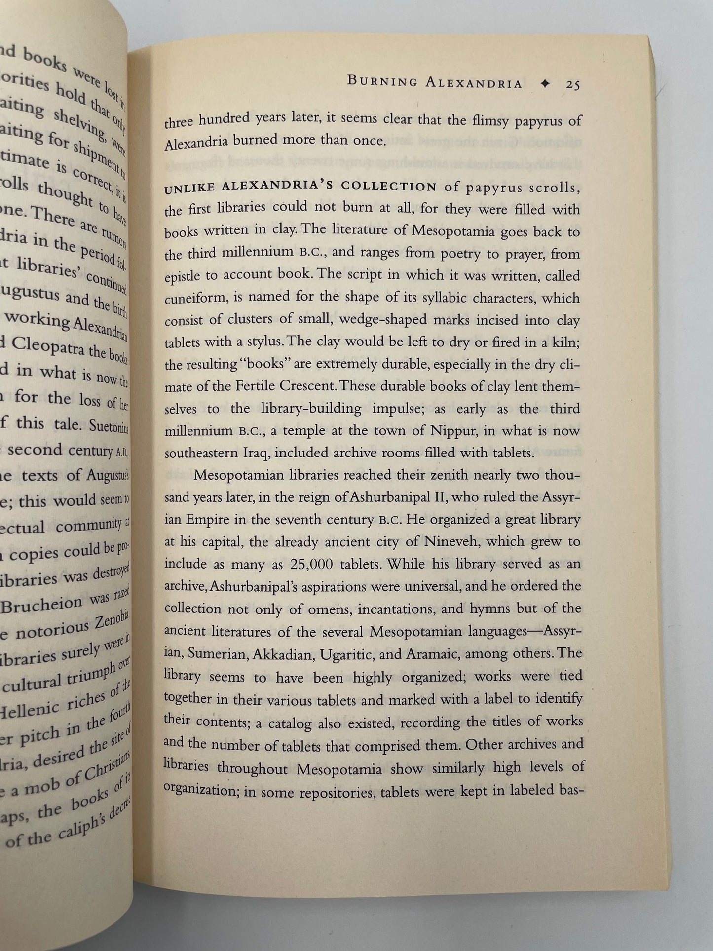 Random page 25 of book, 'Library: An Unquiet History' by Matthew Battles.