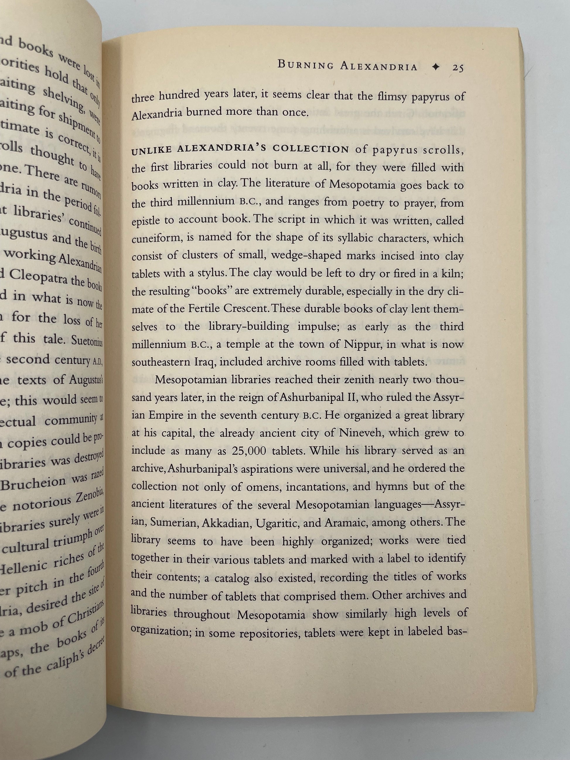 Random page 25 of book, 'Library: An Unquiet History' by Matthew Battles.