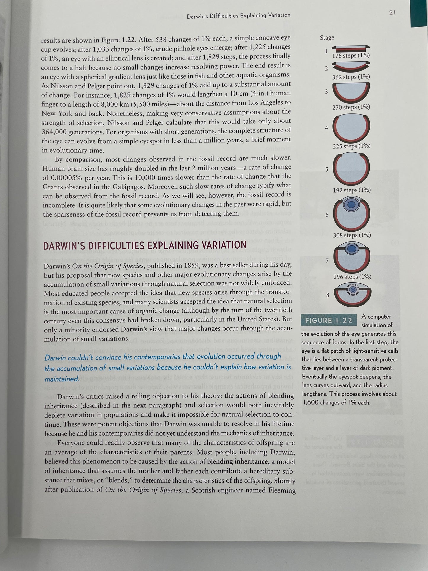 Random page 21 from ‘How Humans Evolved’ by Robert Boyd & Joan B. Silk.