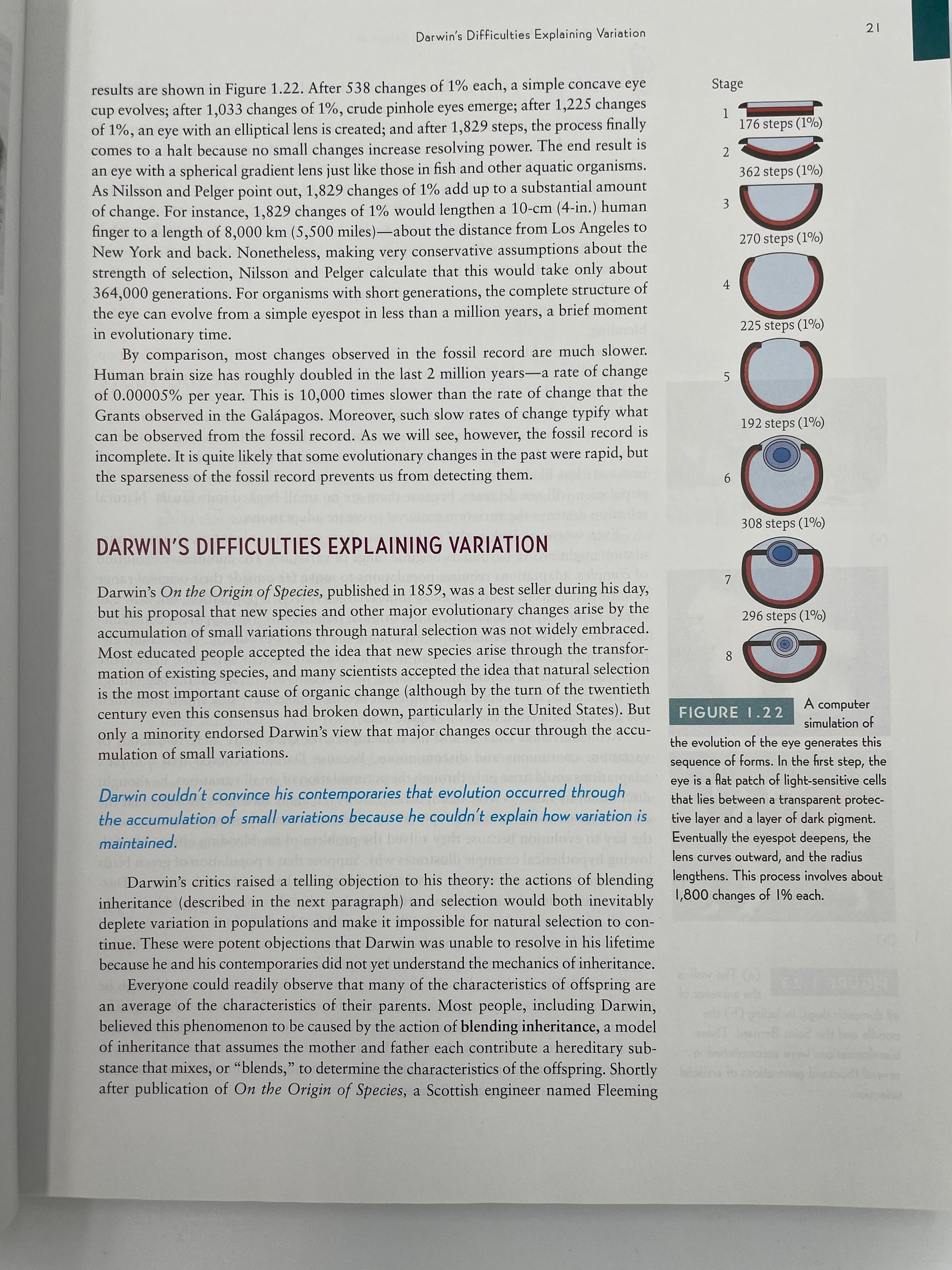 Random page 21 from ‘How Humans Evolved’ by Robert Boyd & Joan B. Silk.
