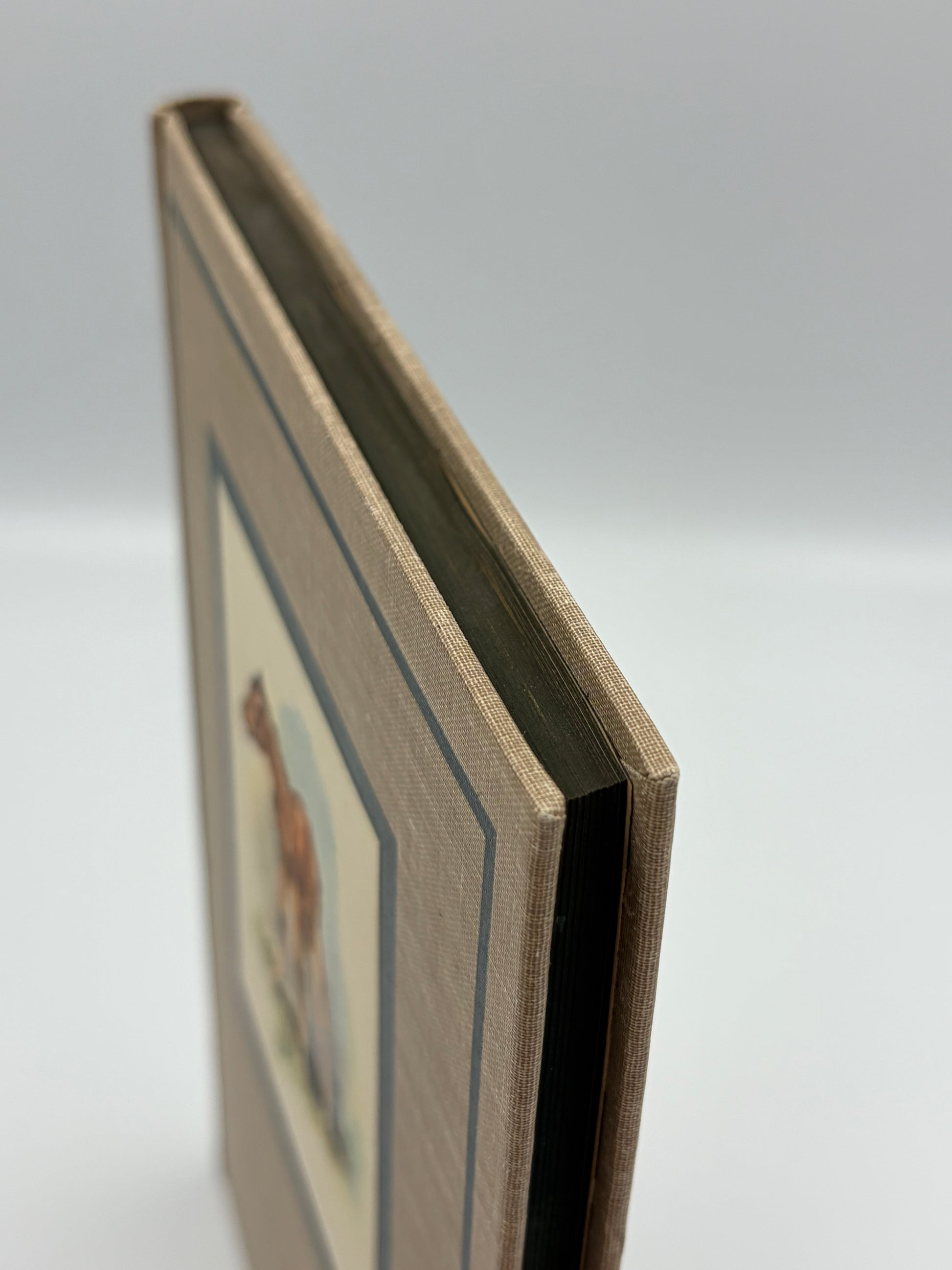 Book page cloth board and edges.