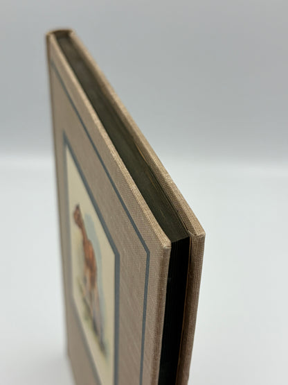 Book page cloth board and edges.