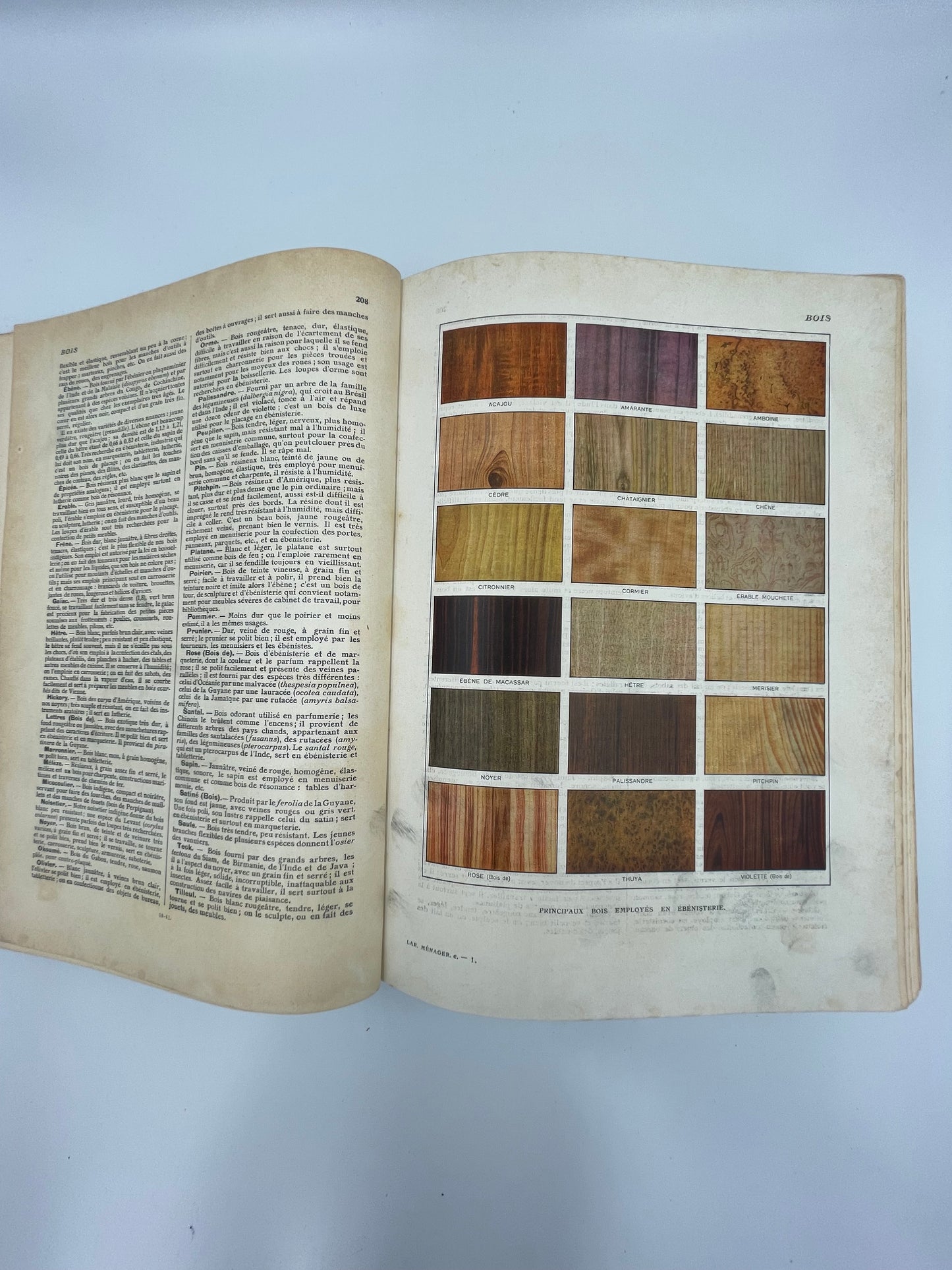 Larousse Ménager Illustré: Dictionnaire Illustré de la Vie Domestique (1926 Edition)